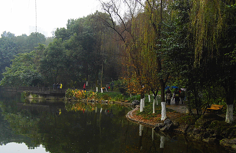 雨中游沙坪公园 摄影 陈诚