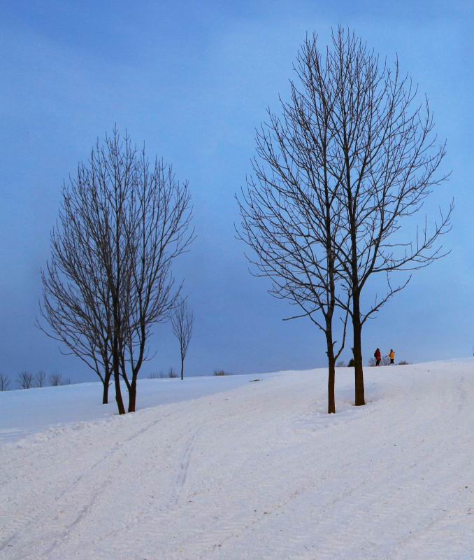 雪地依恋 摄影 3mao