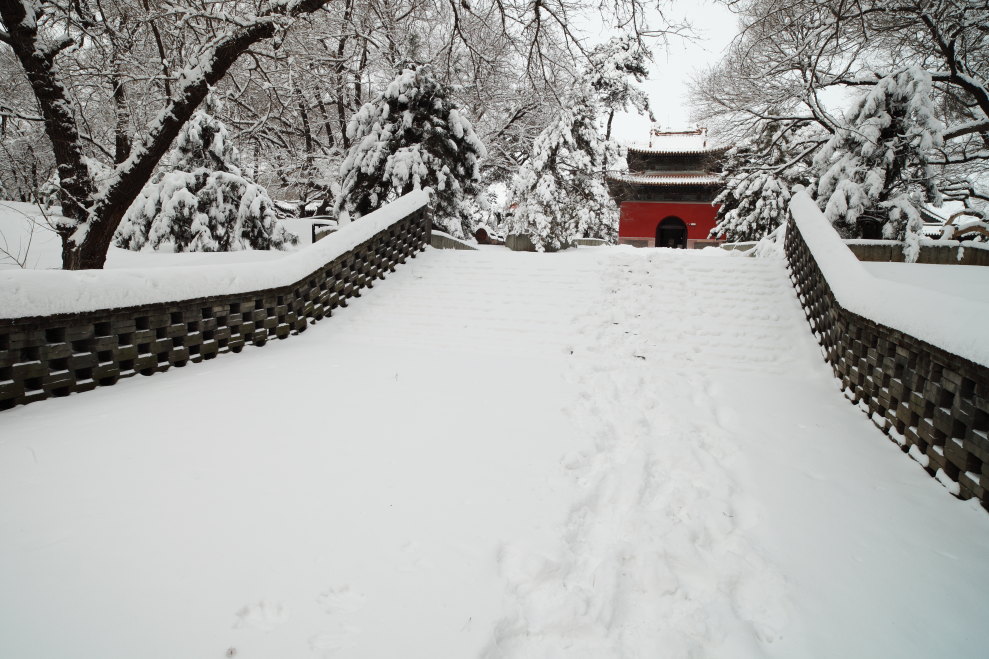 福陵的雪妆-4 摄影 无限江山