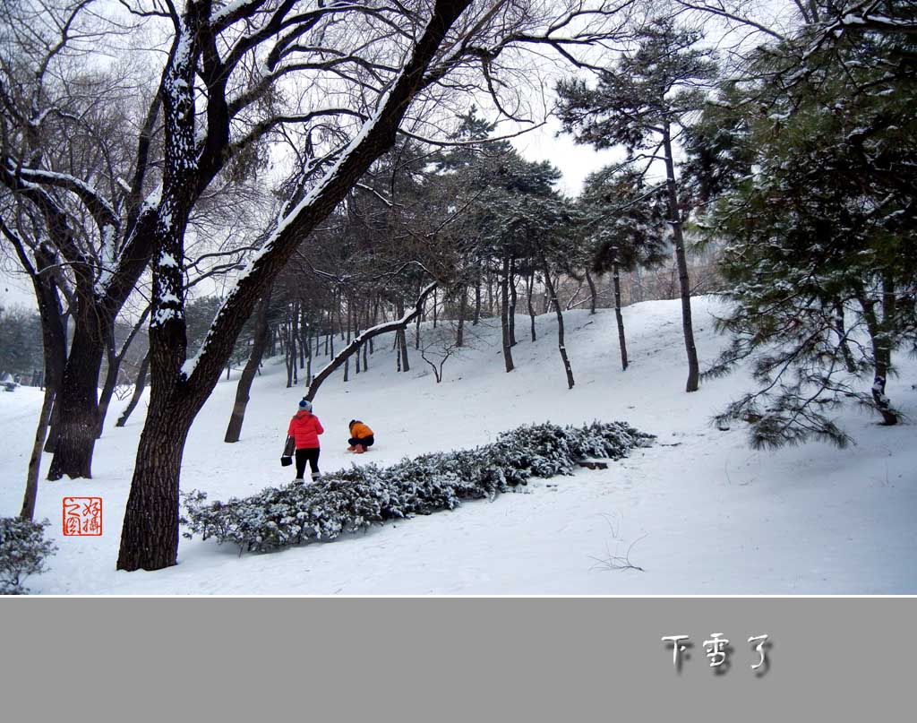 下雪了（一）：乐在其中 摄影 一路有你