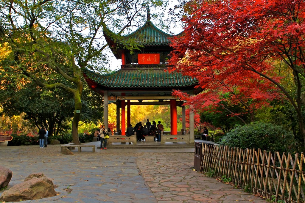 停车坐爱枫林晚 摄影 菊韵