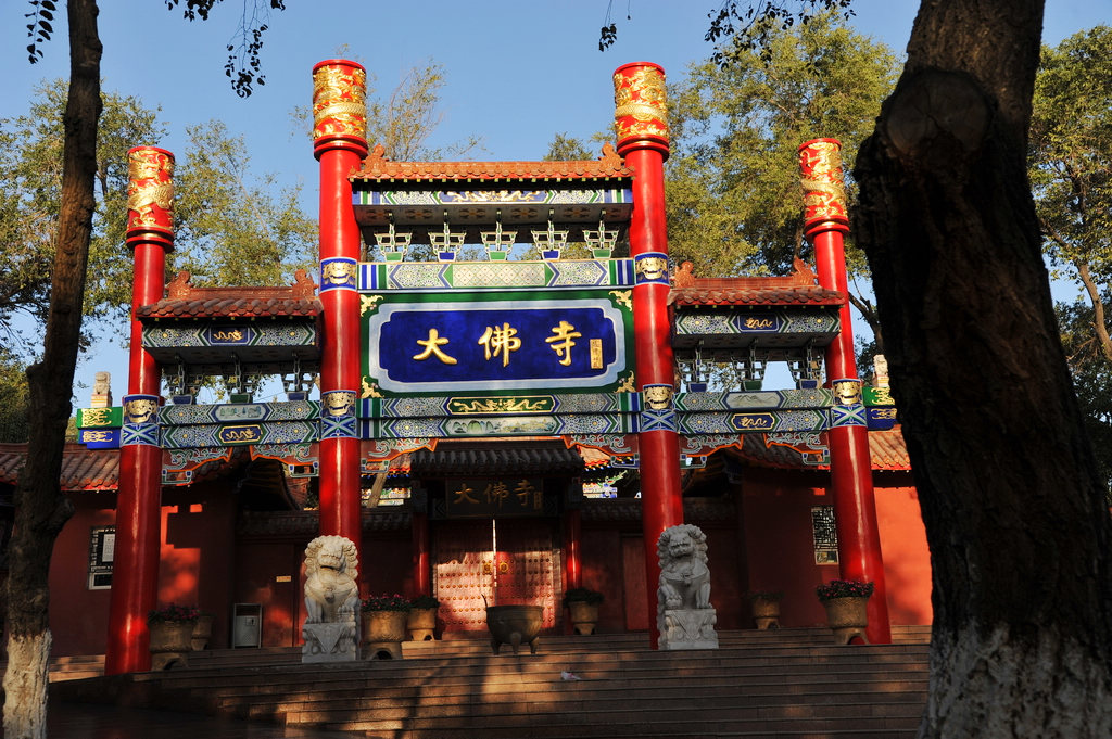 乌鲁木齐红山大佛寺 摄影 老秋叶