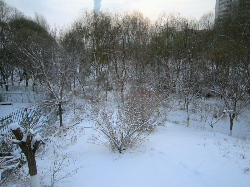 雪景 摄影 水晶舞人