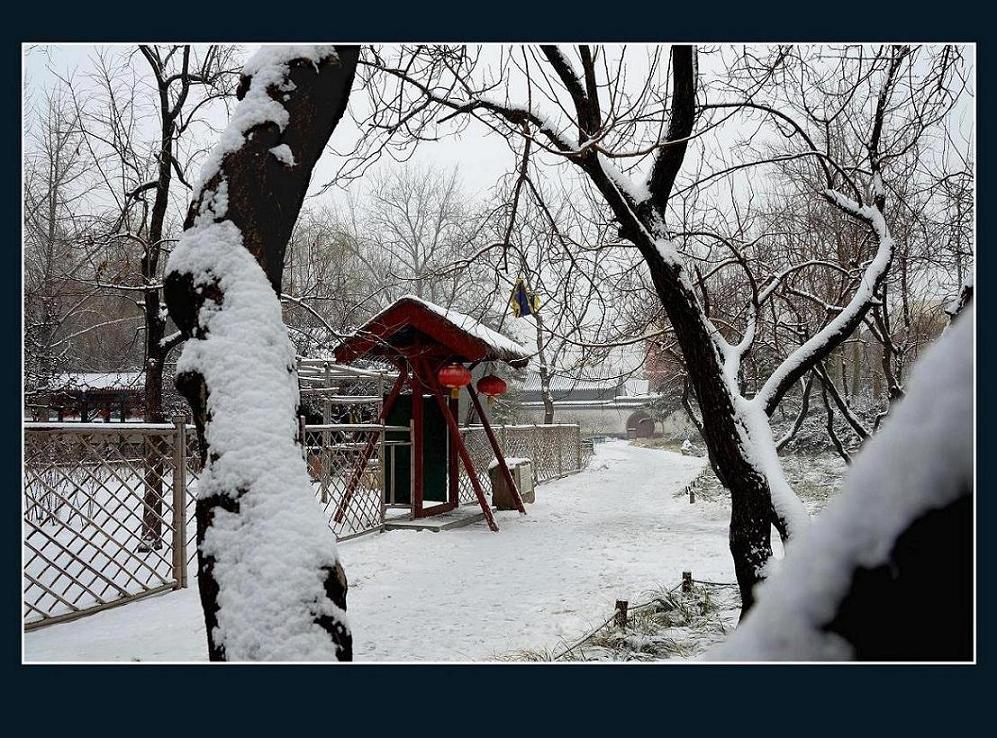 雪大观园 摄影 陌上桑12
