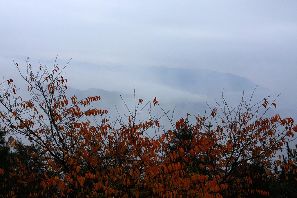 巫山云雨、红叶-1 摄影 南哥定影