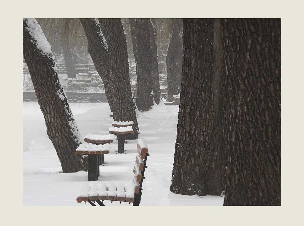 雪景拾零：树与椅 摄影 游马