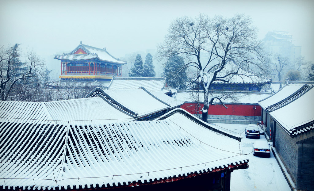 万寿寺 摄影 债权人