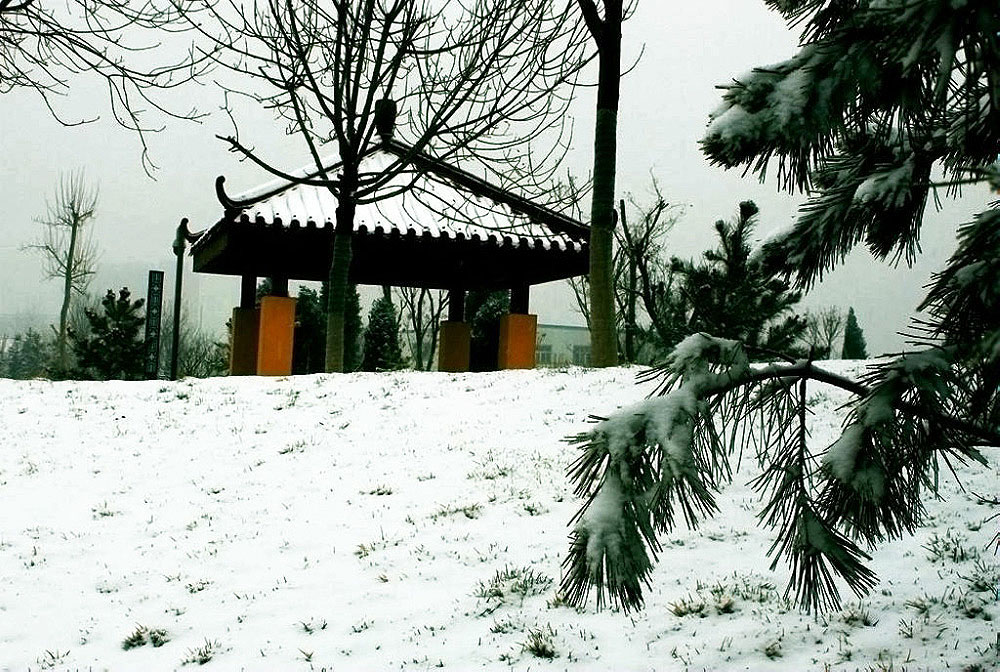 家乡第一场雪【一】 摄影 腾飞