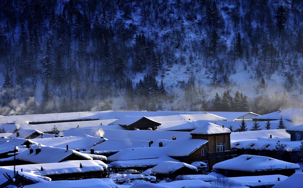 今年的雪景 摄影 文一哥