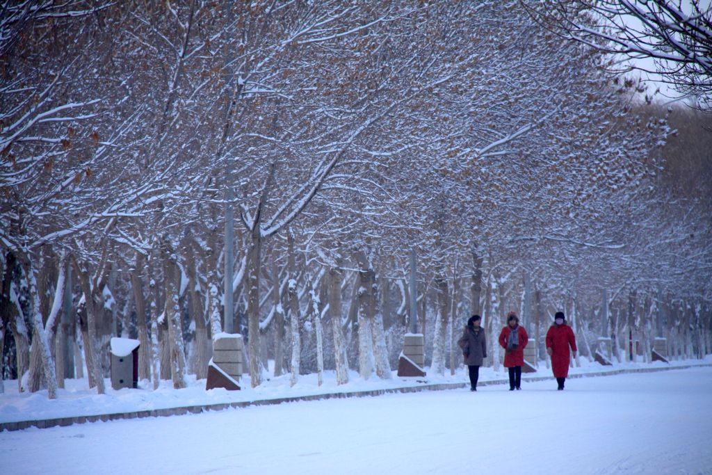 乐在雪中 摄影 大漠之魂