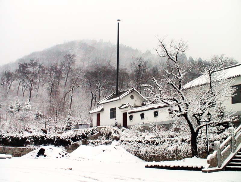 瑞雪观银装 摄影 风光无限处