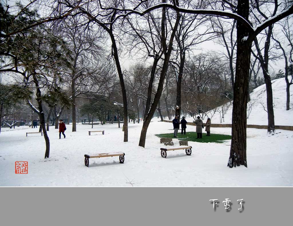 下雪了（七）：享受美景 摄影 一路有你