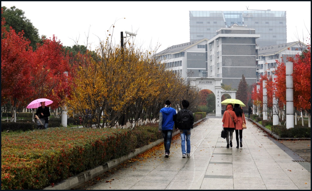 细雨中的苏大秋色 摄影 uuyelang