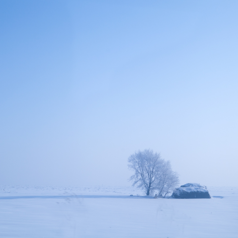 雪 摄影 落霞888