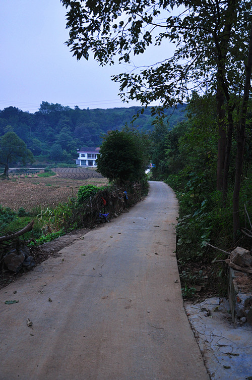 黑子堉(村村通公路) 摄影 秋天的玫瑰