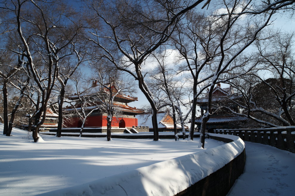 福陵的雪妆-6 摄影 无限江山