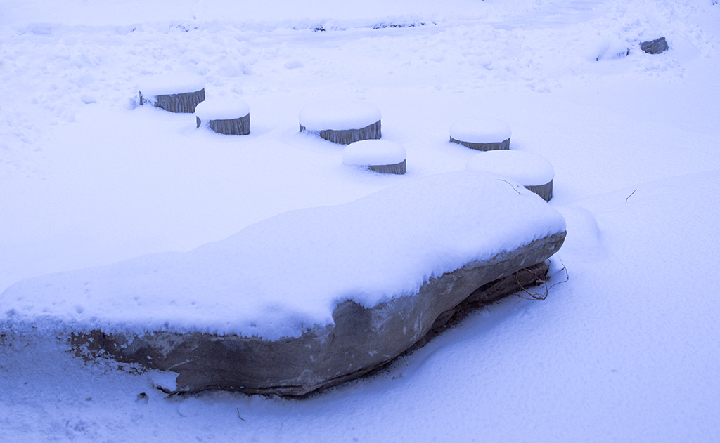 冬雪 摄影 箭飞