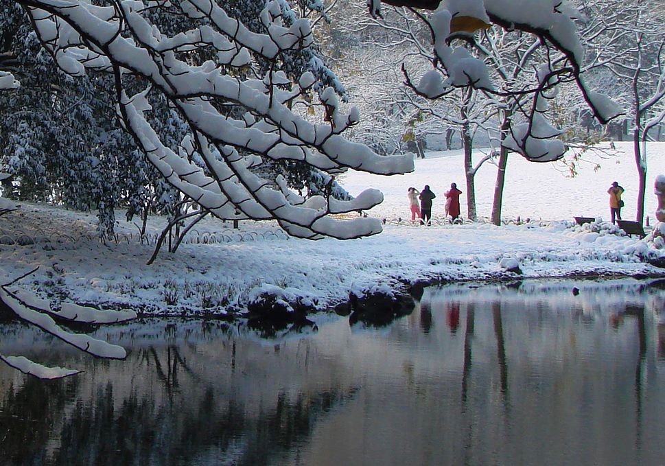 那年的雪 （点大图） 摄影 金玉满堂