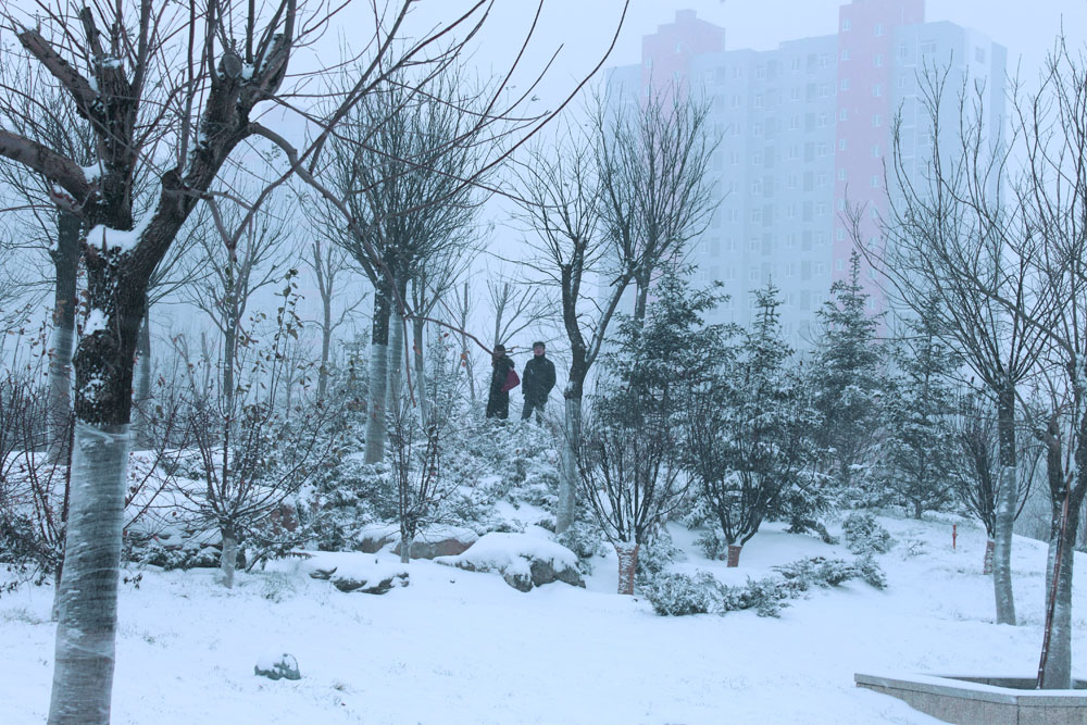 家乡的第一场雪【三】 摄影 腾飞