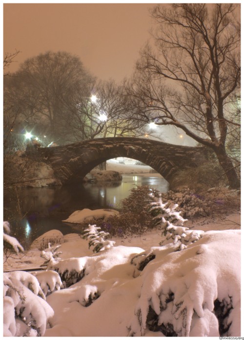 雪夜 摄影 林晓醉阳