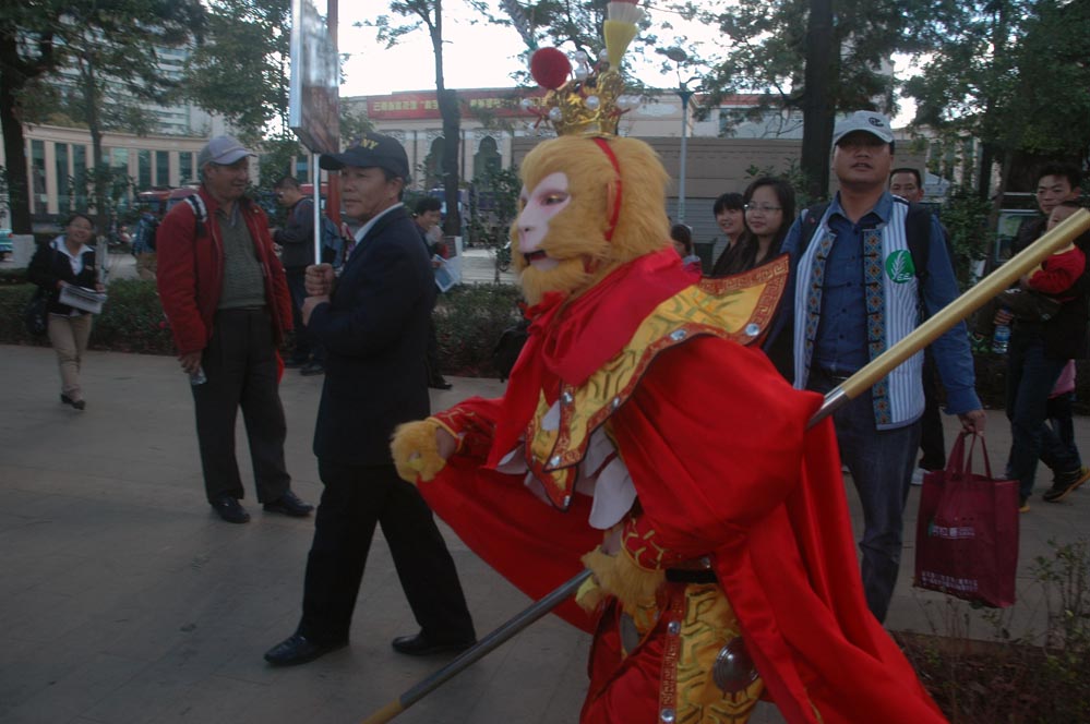 孙大圣游翠湖啦 摄影 深山的绿叶