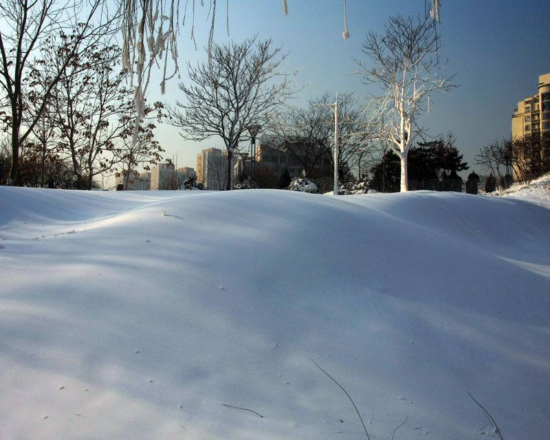 雪韵 摄影 妩媚