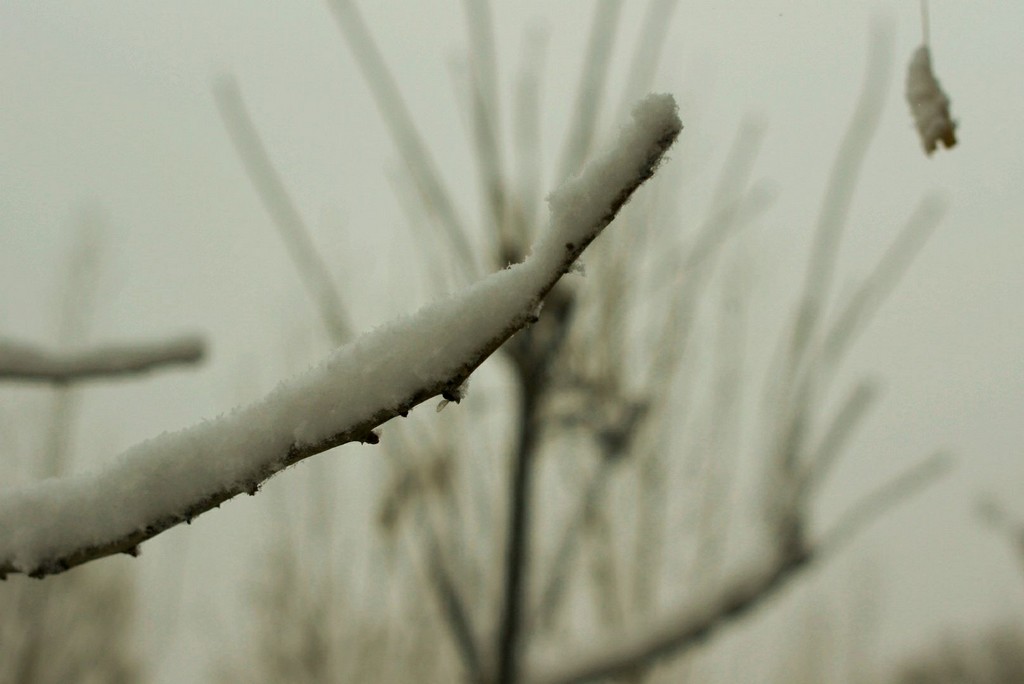 雪景 摄影 刀客诸葛