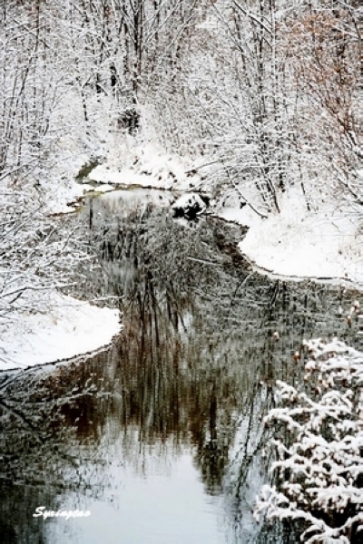 兴安雪美 摄影 岭上行