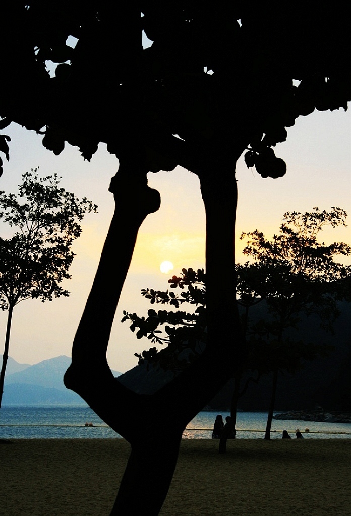 海风絮语 摄影 秋水孤鹜