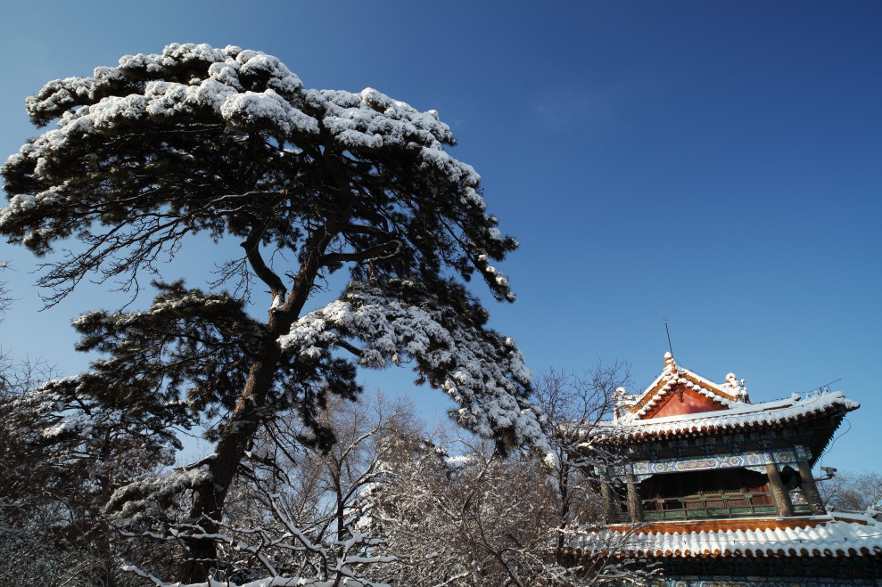 福陵的雪妆-7 摄影 无限江山