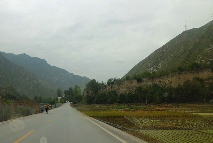 路上的风景 摄影 紫色女人