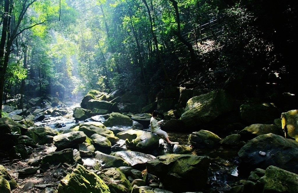 空山静读 摄影 秋水孤鹜