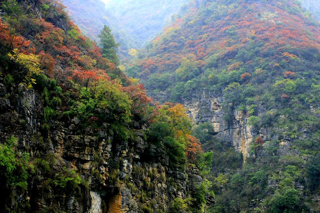 巫山云雨、大宁河红叶-6 摄影 南哥定影