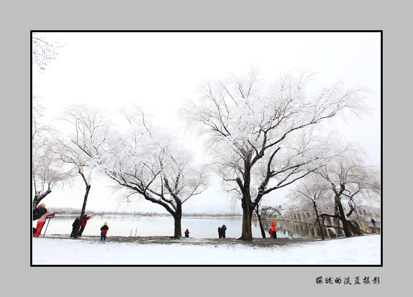 雪景 摄影 朦胧的淡蓝