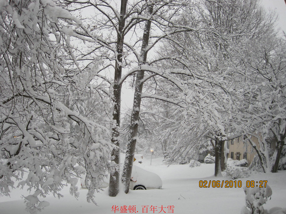 百年大雪-华盛顿雪景之一 摄影 海外来客