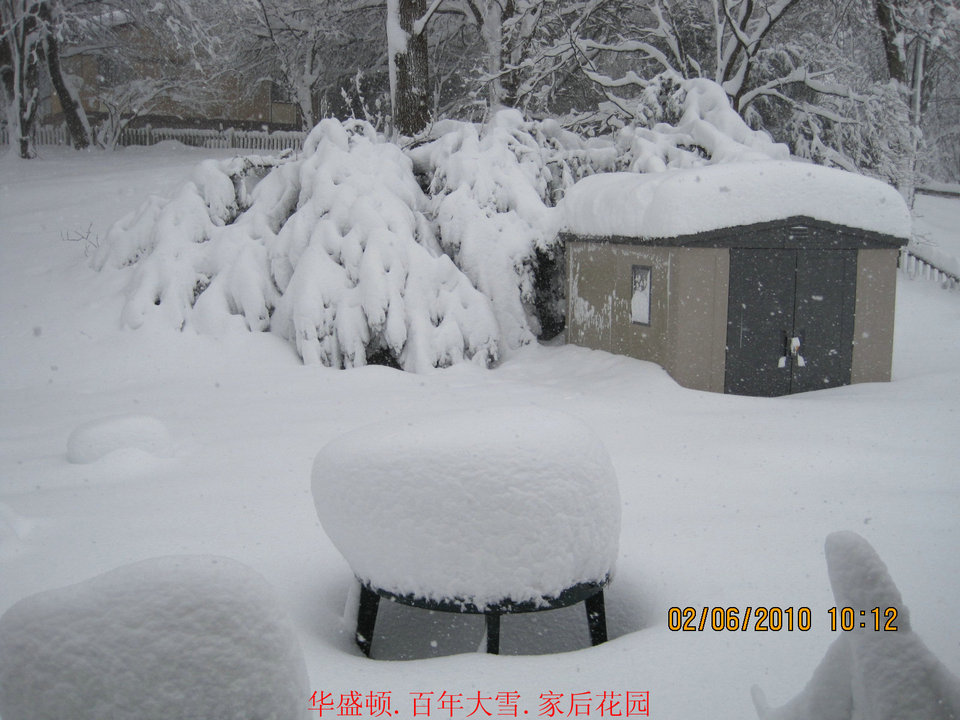 百年大雪-华盛顿雪景之二 摄影 海外来客