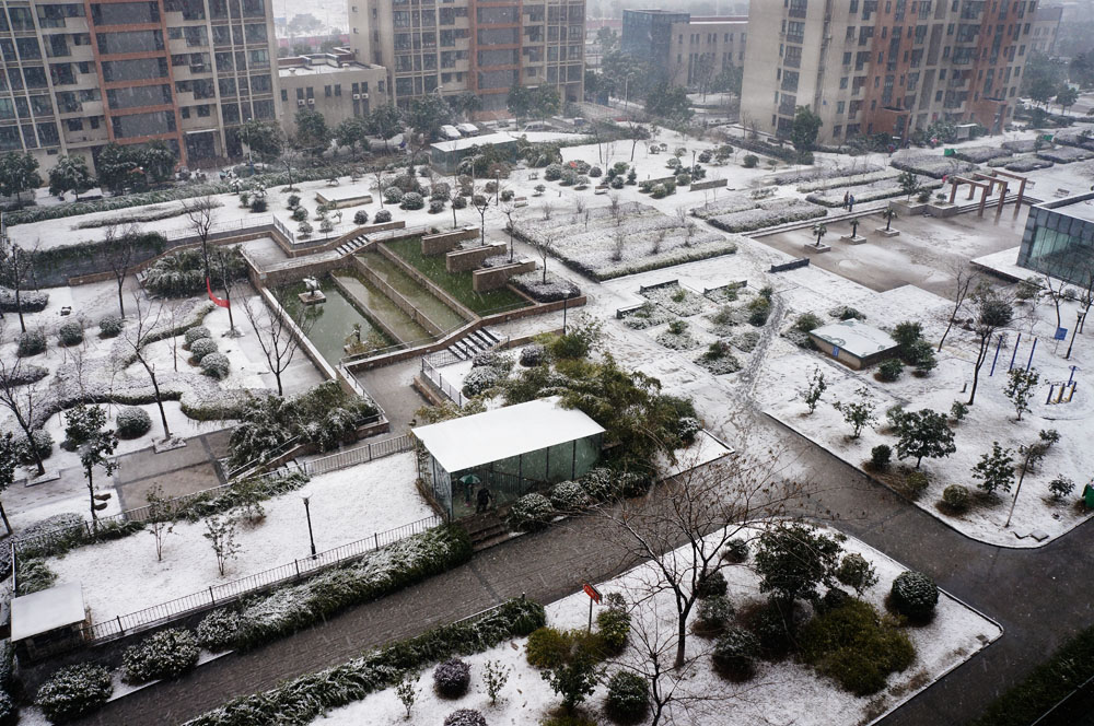 小区雪景 摄影 禾子