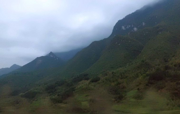 路上的风景 摄影 紫色女人