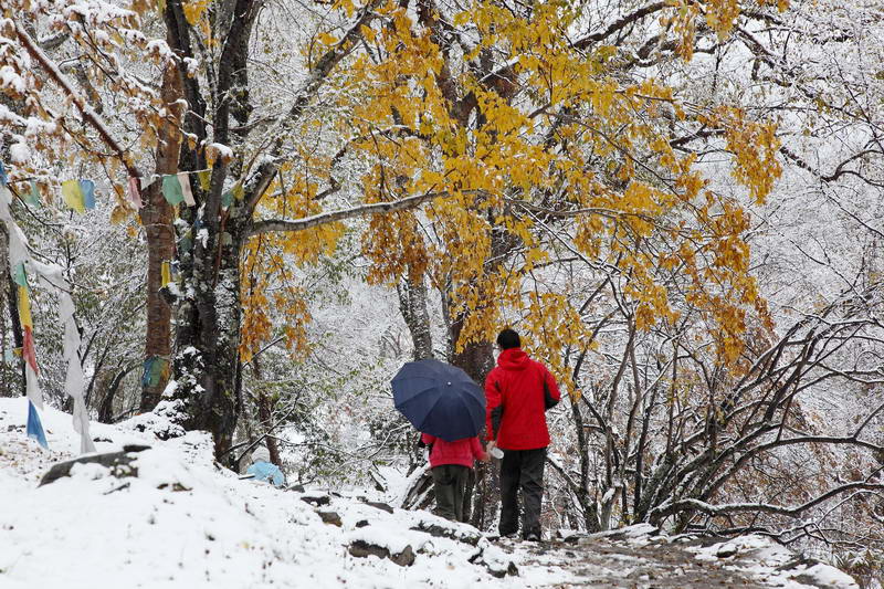 爱在风雪中 摄影 原野牧人