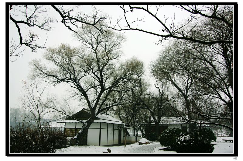 雪景24 摄影 先知三日