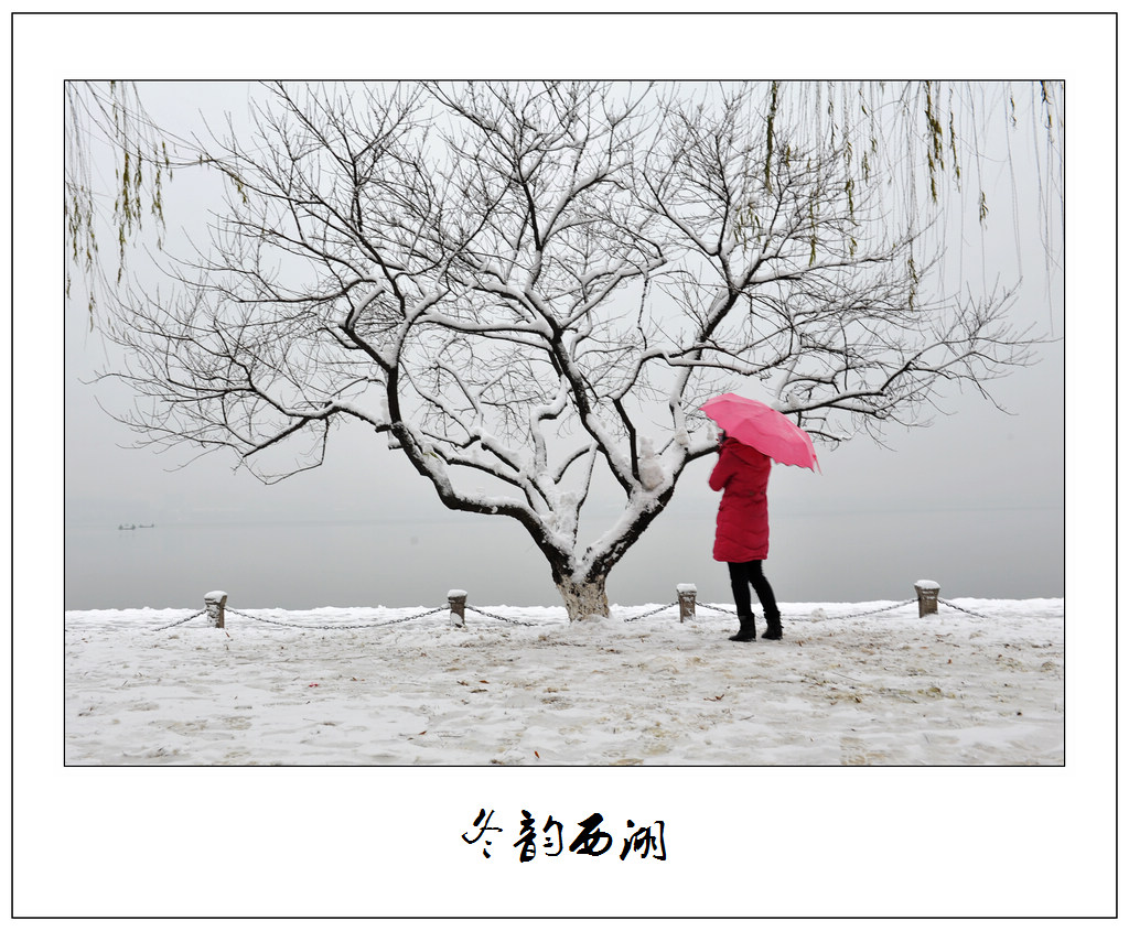 冬韵西湖1 摄影 阿诺221