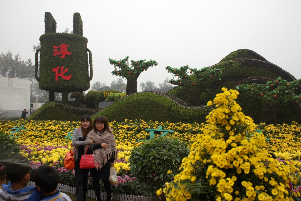 金秋赏菊15 摄影 gongmf