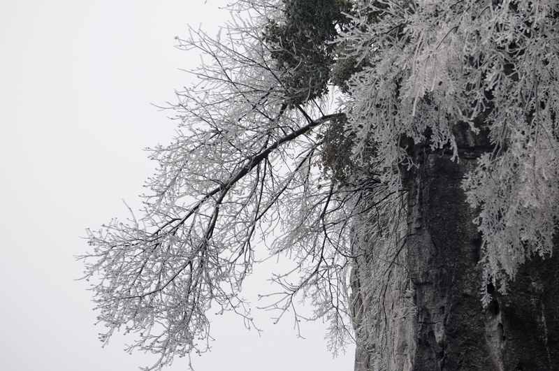 江南雪 摄影 陈家熙