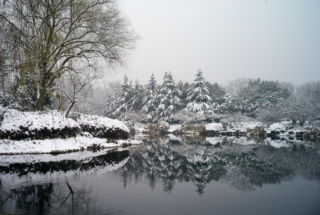 冰雪西湖～ 摄影 亚非拉