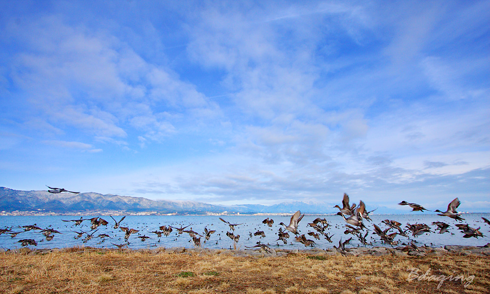 琵笆湖冬景<2> 摄影 Bdaqing