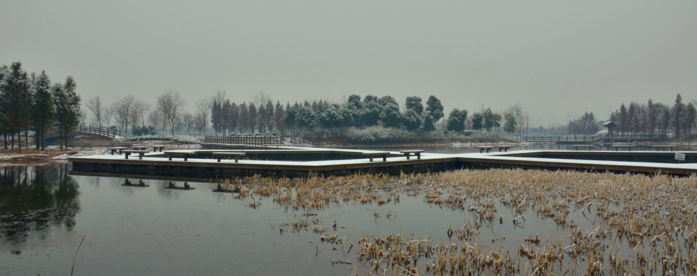 雪后苏州三角嘴湿地公园2 摄影 兰色夜光杯