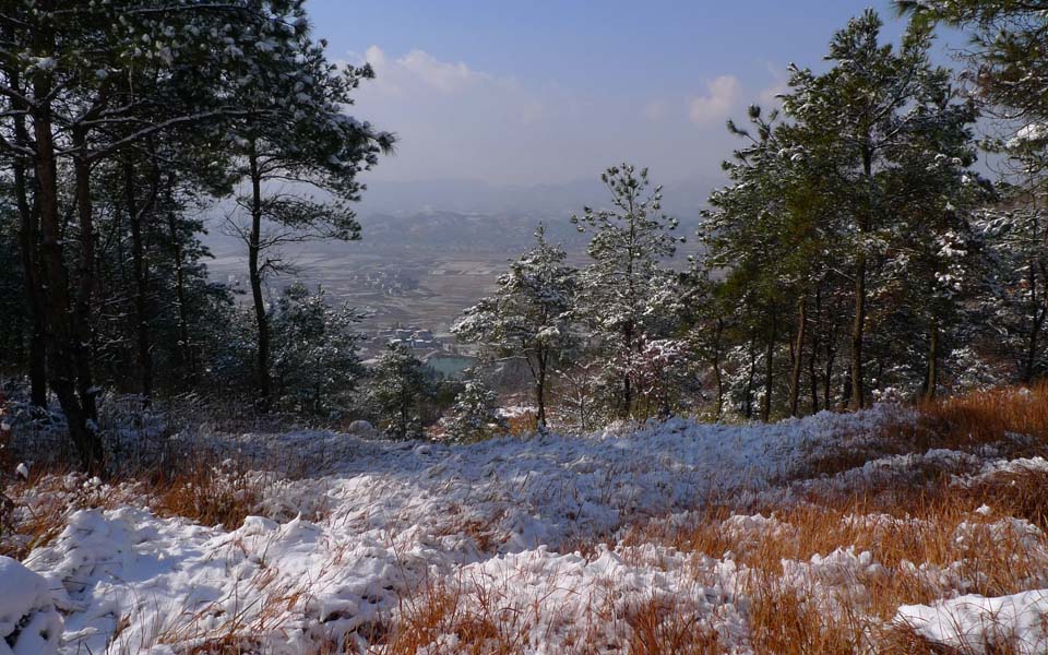 覆雪的山坡 摄影 丰雨