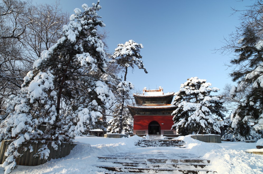 福陵的雪妆-15 摄影 无限江山