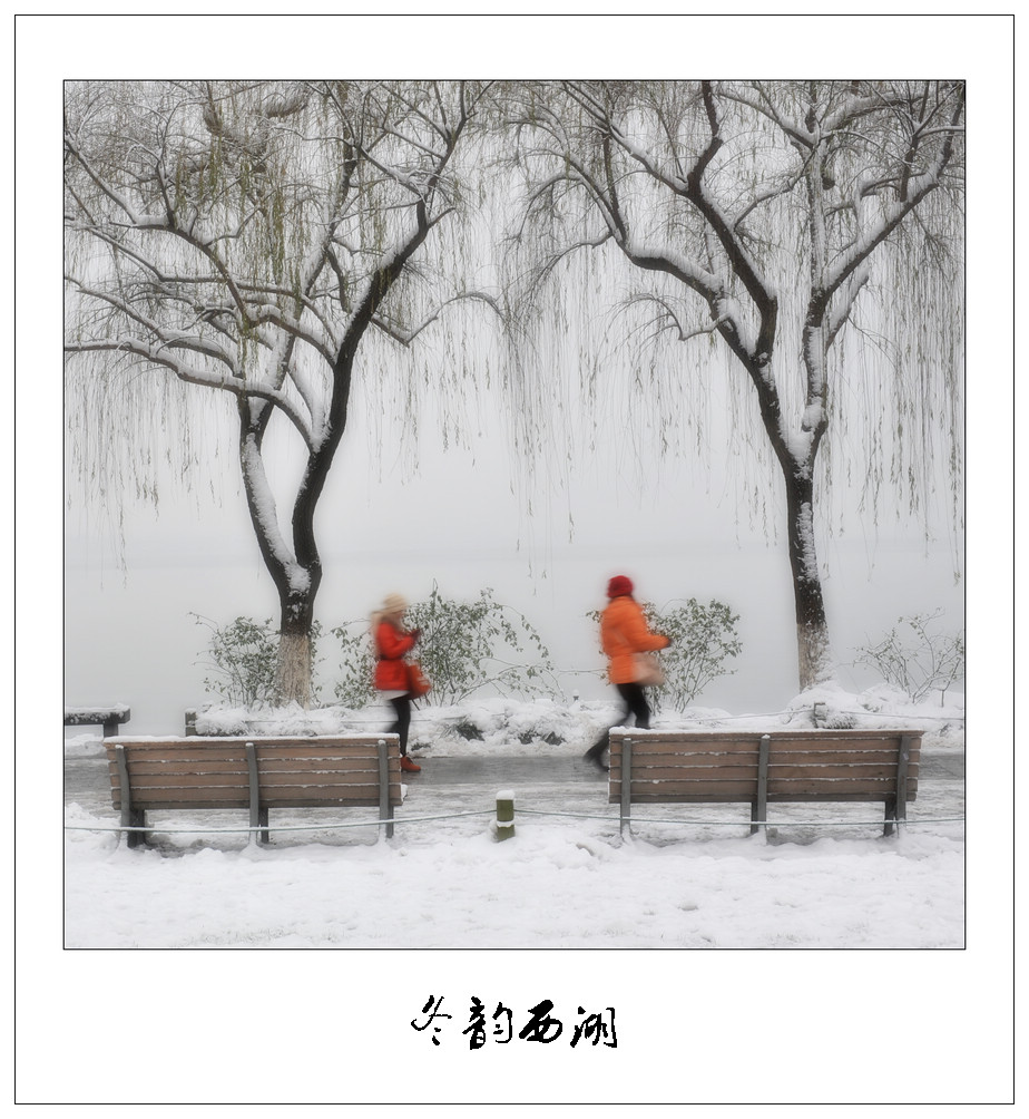 冬韵西湖4 摄影 阿诺221