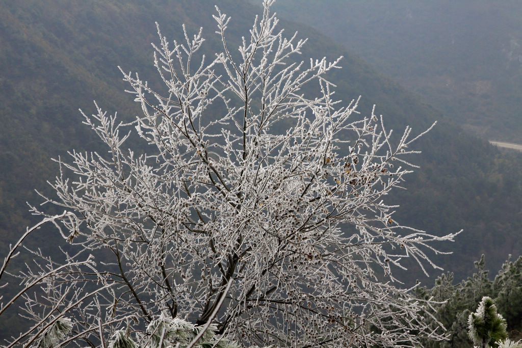 桂林尧山雪景（3） 摄影 湖塘月色